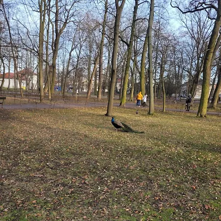 Near Rondo Onz Accommodatie bij particulieren