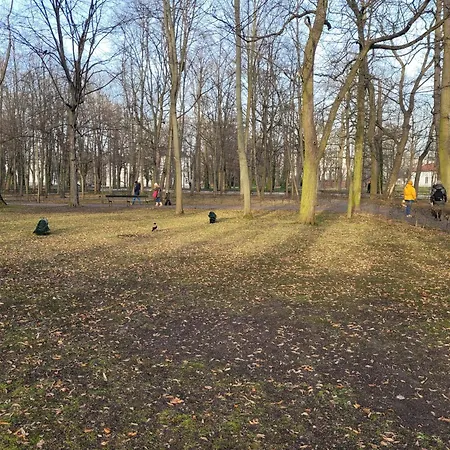 Проживание в семье Near Rondo Onz