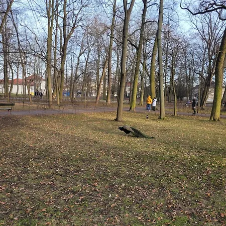 Near Rondo Onz * Varsovia